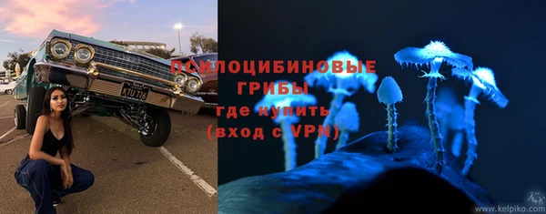 гидропоника Алзамай