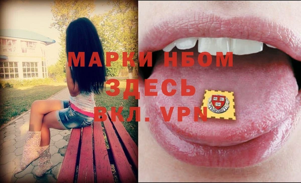 стафф Алексин