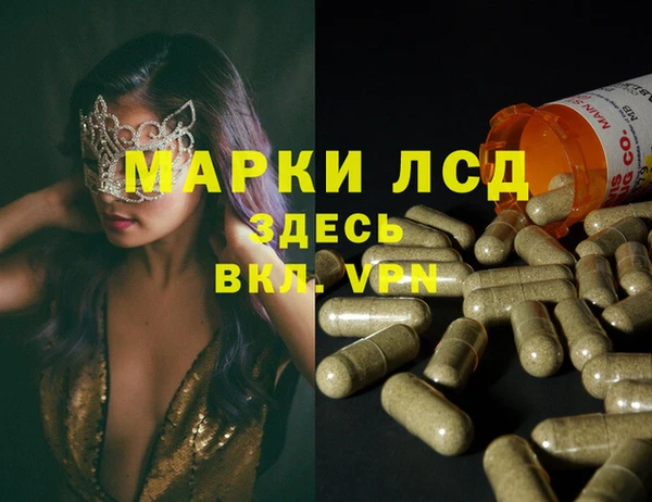 гидропоника Алзамай