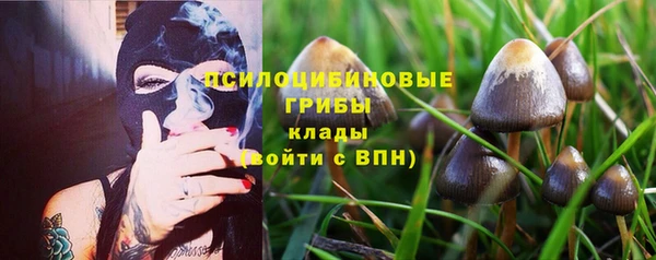 гидропоника Алзамай