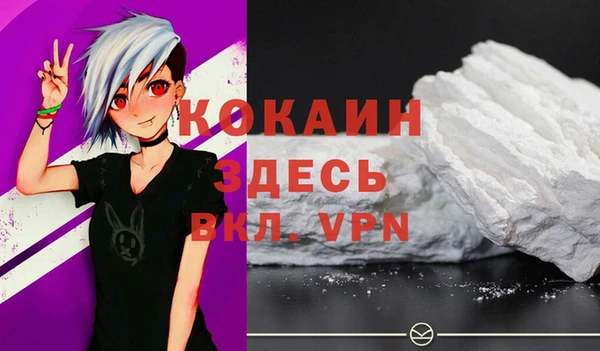 стафф Алексин
